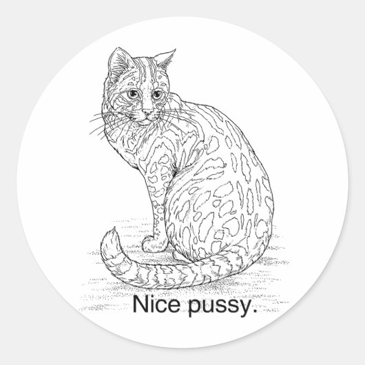 LEUKE KAT RONDE STICKER (Voorkant)