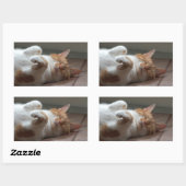Leuke kat slapen Rechthoek Stickers (Vel)