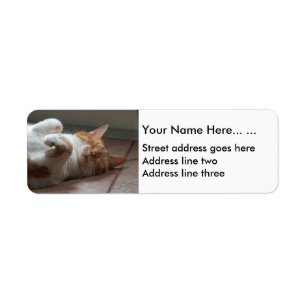 Leuke kat slapen Retouradres Labels