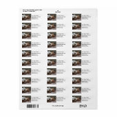 Leuke kat slapen Retouradres Labels (Full Sheet)