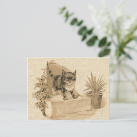 Leuke  kat tekening Antiek Franse Kaart (Staand voorkant)