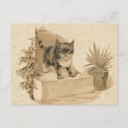 Leuke  kat tekening Antiek Franse Kaart (Voorkant)