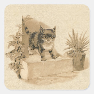 Leuke kat tekening Antiek Franse Kaart Vierkante Sticker