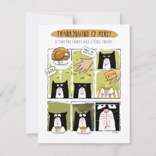 Leuke kat Thanksgiving Verwachtingen Realiteit Feestdagenkaart