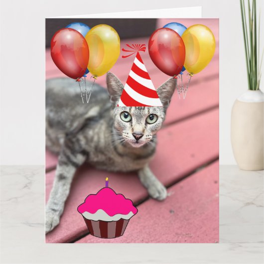 LEUKE KAT VERJAARDAG GROOT WENSKAART KAART (Voorkant)