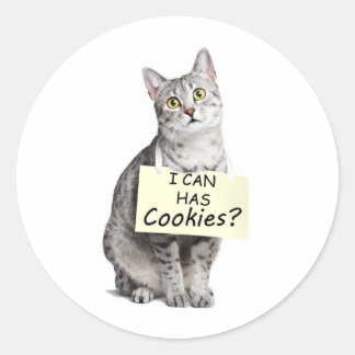 Leuke kat vraagt ik kan heeft cookies? ronde sticker