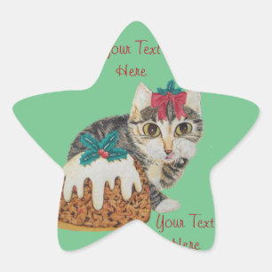 leuke katjes grijze gestreepte kat die ster sticker