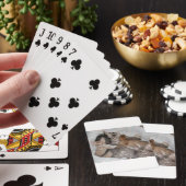 LEUKE KATJES IN EEN MAND POKERKAARTEN (Insitu)