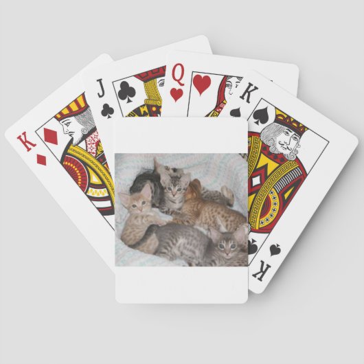 LEUKE KATJES IN EEN MAND POKERKAARTEN (Achterkant)