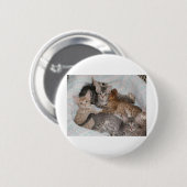 LEUKE KATJES IN EEN MAND RONDE BUTTON 5,7 CM (Voorkant /achterkant)