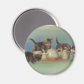 Leuke  Katten Magneet (Voorkant / Achterkant)