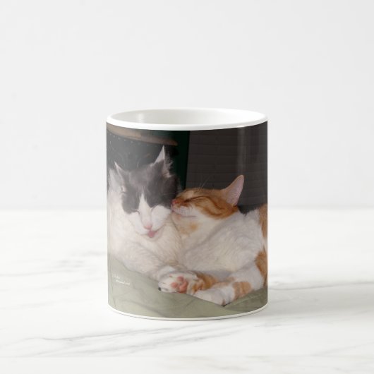 Leuke katten Slapen Katten Regel Mok (Center)