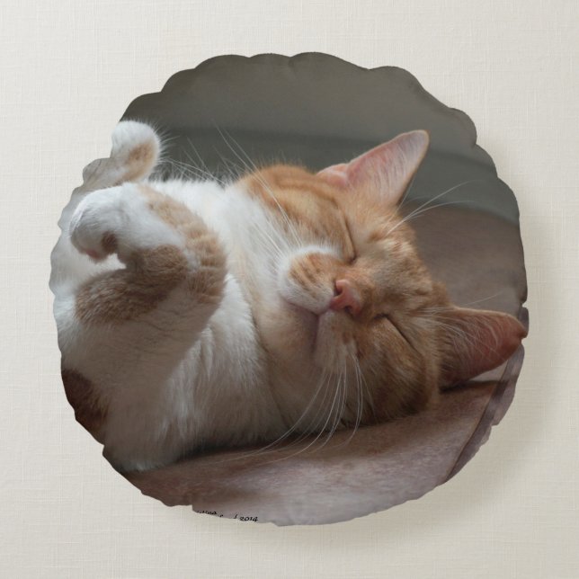 Leuke Katten slapen Rond Sierkussen Kussen (Voorkant)