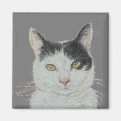 Leuke kattenmagneet magneet (Voorkant)