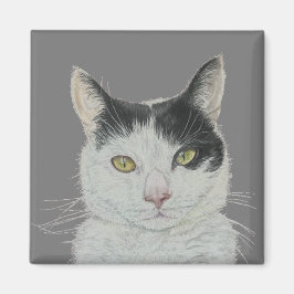 Leuke kattenmagneet magneet