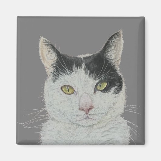 Leuke kattenmagneet magneet (Voorkant)