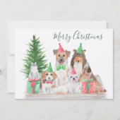 Leuke kerst dieren hond kat puppy kitten feestdagenkaart (Voorkant)
