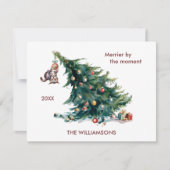 Leuke Kerstboom Bungelende Kat Personaliseer Feestdagenkaart (Voorkant)