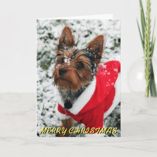 Leuke Kerstkaart Yorkie Feestdagen Kaart