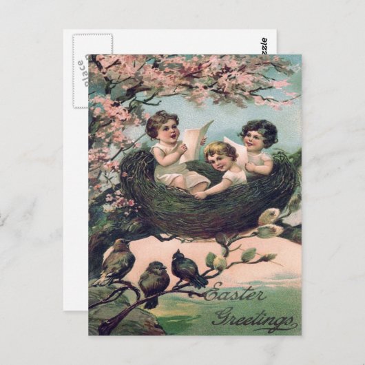 Leuke kinderen vogel nestboom briefkaart (Voorkant / Achterkant)