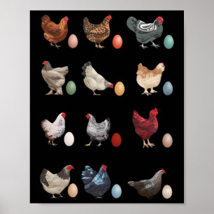 Leuke kip met eieren Paasdag Kip Trendy CL Poster