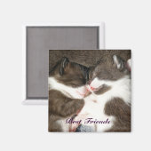 Leuke kittens beste vrienden aanpasbare magneet (Voorkant / Achterkant)