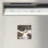 Leuke kittens beste vrienden aanpasbare magneet (Insitu (Vaatwasser))
