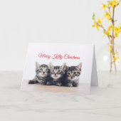 Leuke kittens kerst kaart (Gele Bloem)