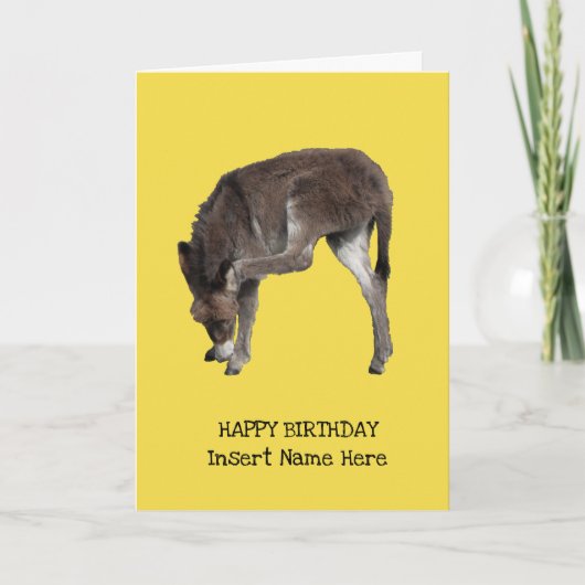 Leuke kleine ezel veulen krabben oor Sjabloon (Voorkant)