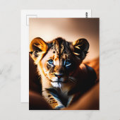 Leuke kleine leeuwenkubje met blauwe ogen briefkaart (Voorkant / Achterkant)