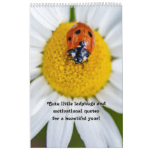 Leuke kleine lieveheersbeestjes en motivatie quote