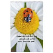 Leuke kleine lieveheersbeestjes en motivatie quote kalender (Hoes)