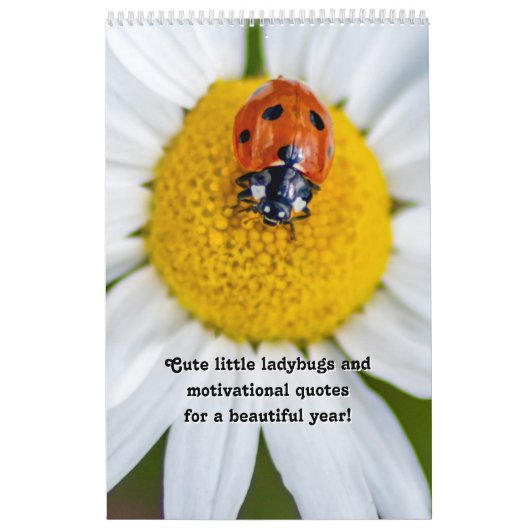 Leuke kleine lieveheersbeestjes en motivatie quote kalender (Hoes)