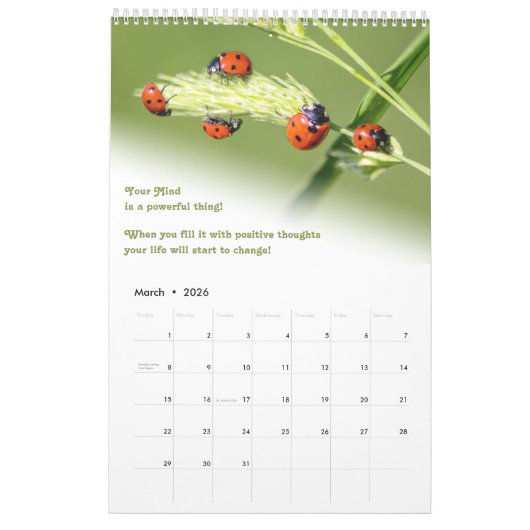 Leuke kleine lieveheersbeestjes en motivatie quote kalender (Mar 2026)