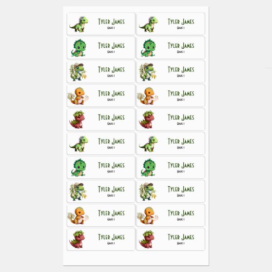 Leuke Kleurrijke Dinosaurus School Kinder Aangepas Labels (Vel)