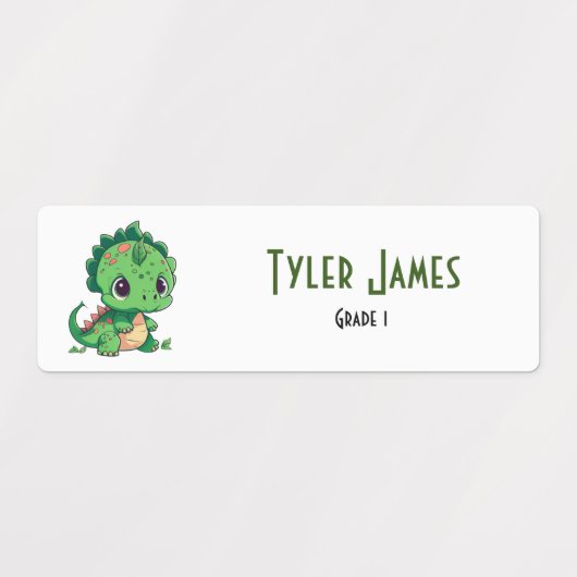Leuke Kleurrijke Dinosaurus School Kinder Aangepas Labels (Design 2)
