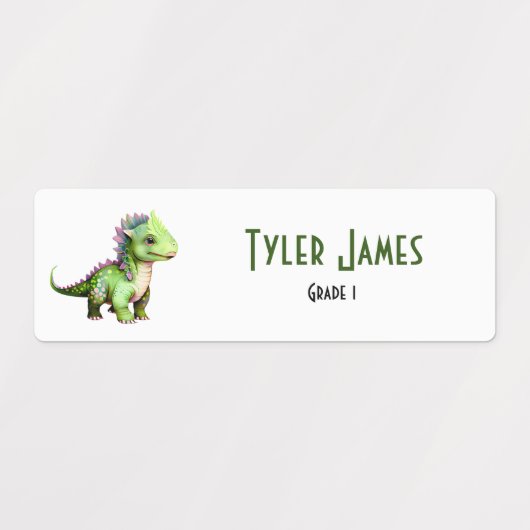 Leuke Kleurrijke Dinosaurus School Kinder Aangepas Labels (Design 1)