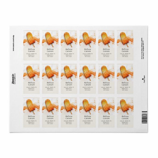 Leuke, kleurrijke zomer Sinaasappel ijsje Etiket (Full Sheet)