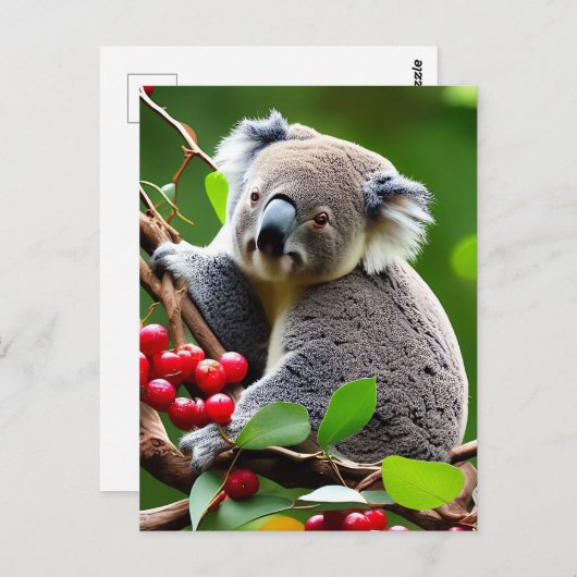 Leuke Koala Beer achtergrond briefkaart (Voorkant / Achterkant)