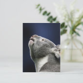 Leuke Koala die omhoog in wonder kijken Briefkaart (Staand voorkant)