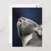 Leuke Koala die omhoog in wonder kijken Briefkaart (Voorkant / Achterkant)