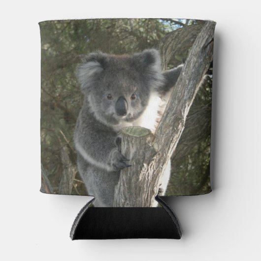 Leuke Koala Klimmen Een Boomboom Koelbox Blikjeskoeler (Voorkant)