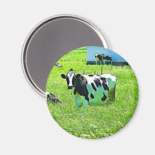 Leuke Koe op het Boerderij Magnet (Voorkant / Achterkant)