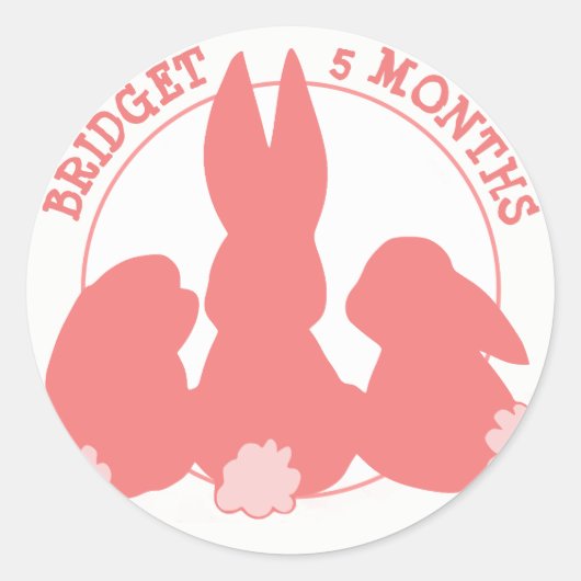 Leuke konijntjes maandelijkse mijlpaal Sticker (Voorkant)