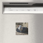 Leuke konijntjes magneet (Insitu (Vaatwasser))