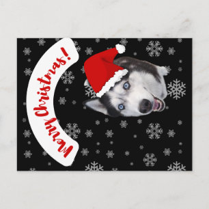 Leuke lachende Santa Husky in rood pet Briefkaart