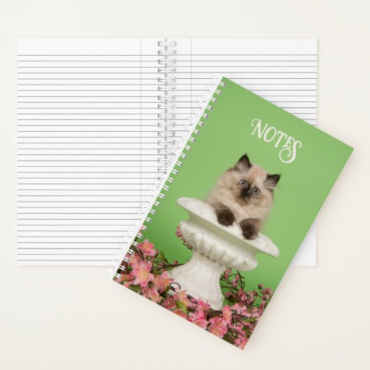 Leuke langharige Siamese kat Notitieboek (Binnen)
