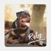 Leuke Letter Pet Foto Kerstmis Metalen Ornament (Achterkant)