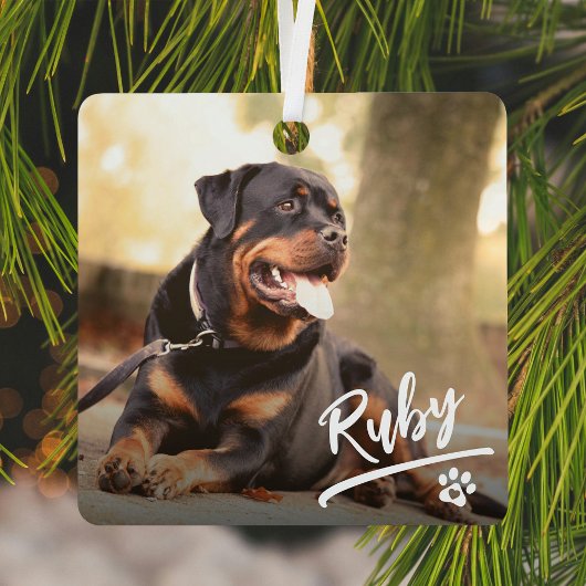 Leuke Letter Pet Foto Kerstmis Metalen Ornament
