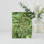 Leuke libel, vasthouden op DIY Briefkaart (Staand voorkant)